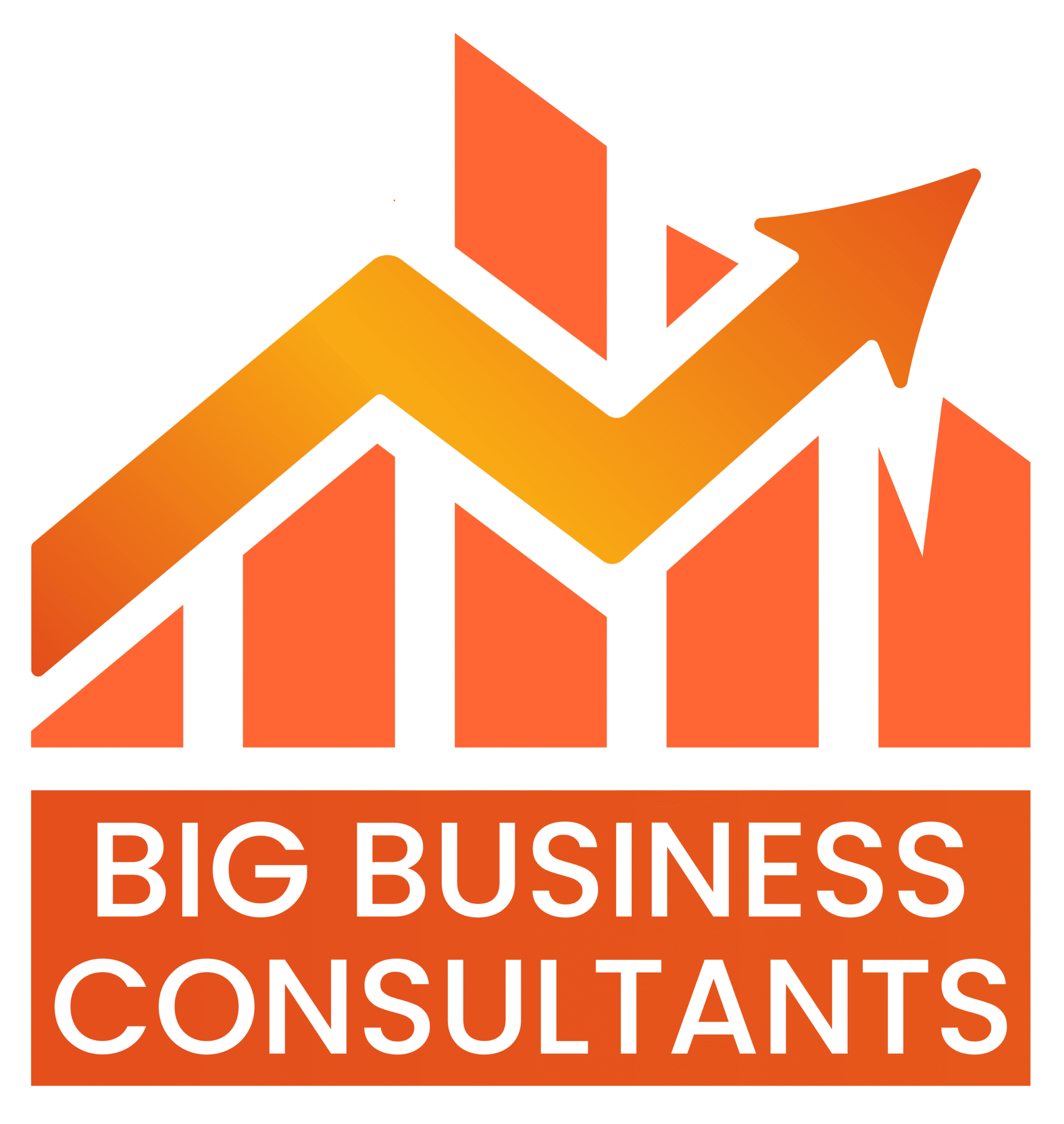 Big Biz Consultants Logo-01 (1)
